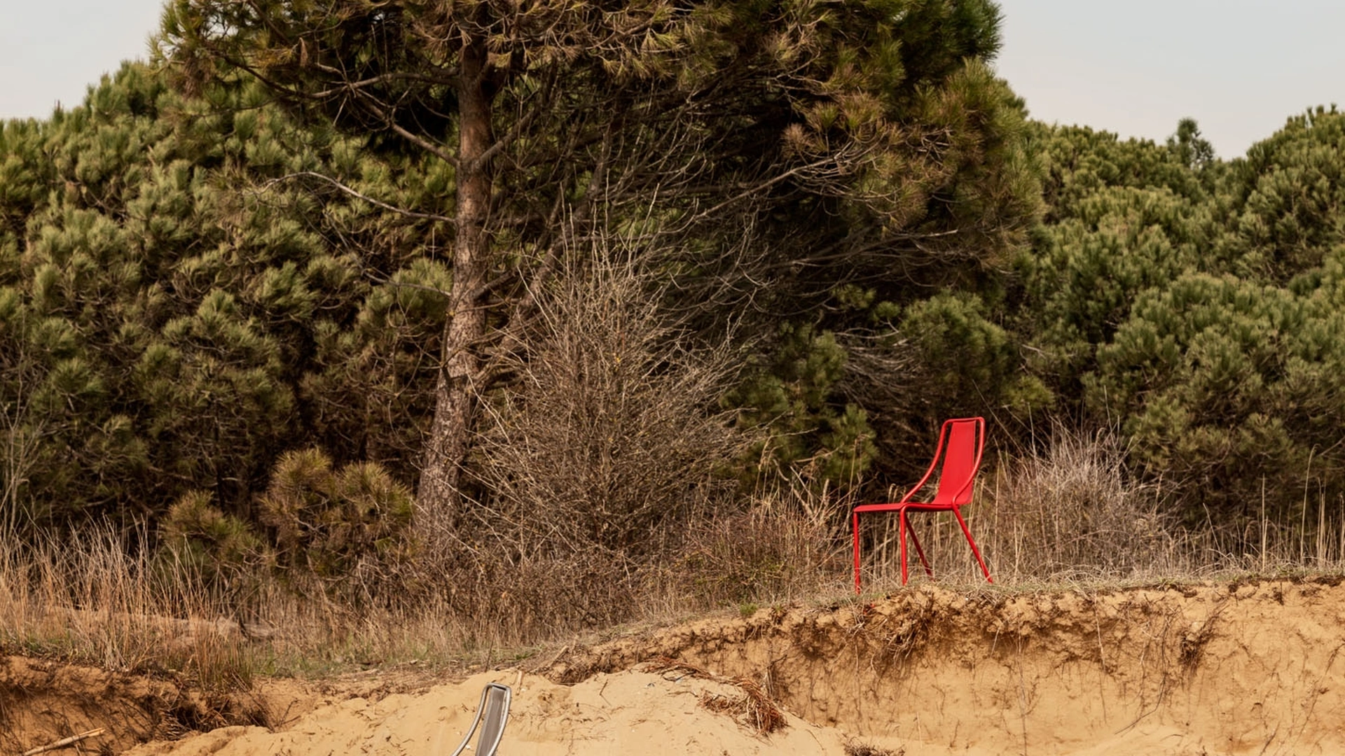 Sedia in acciaio inox Ola di Midj